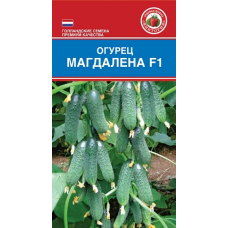 Огурец Магдалена F1 